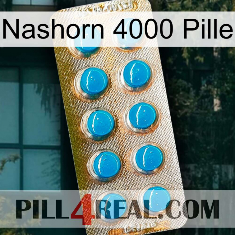 Rhino 4000 Pill new09
